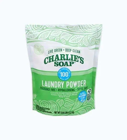 Product Image of the Charlie’s Soap Powder