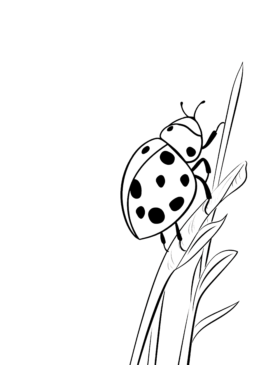 Ladybug Climbing a Blade of Grass Coloring Page - A small ladybug making its way up a tall blade of grass.