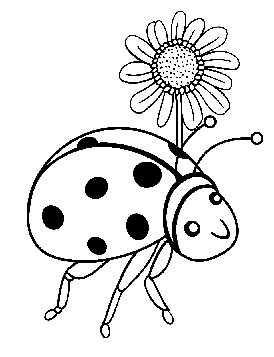 Curious Ladybird Beetle Ladybug Coloring Page - A ladybird exploring a single daisy flower.