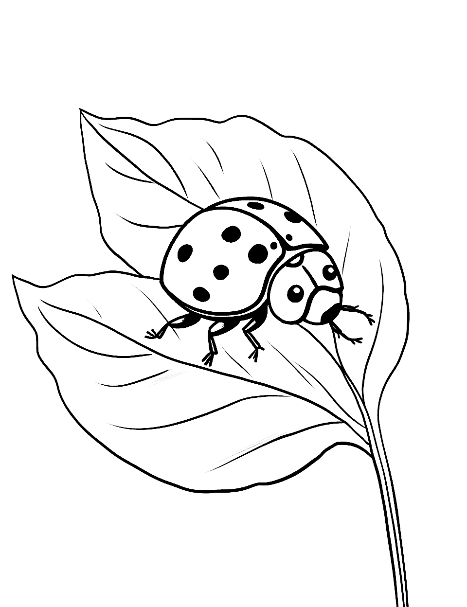 Ladybug on a Leaf Coloring Page - A ladybug’s cautious steps on a new leaf.
