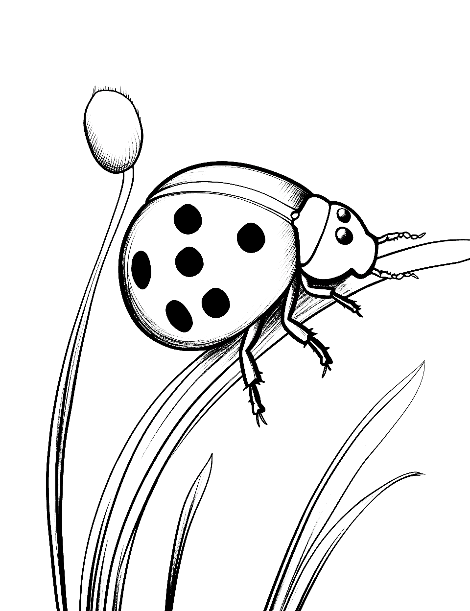 Serene Ladybug on a Quiet Day Coloring Page - A ladybug sitting quietly on a blade of grass, enjoying the calm.