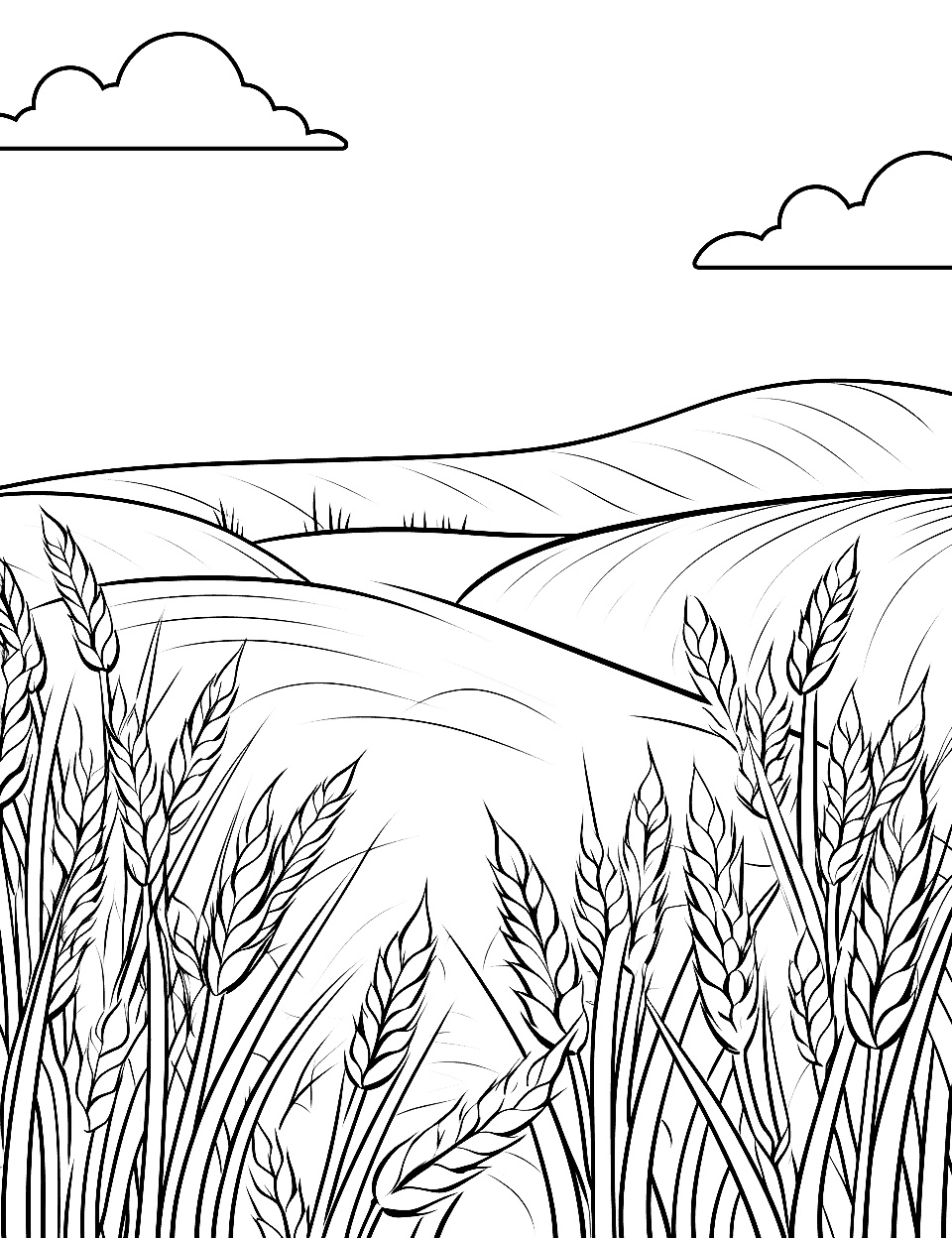 Golden Wheat Field Nature Coloring Page - A golden wheat field ready for harvest, with a clear sky above.