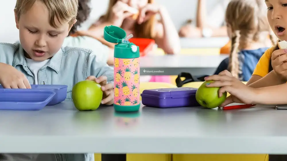 Photo of the Snug Kids Insulated Water Bottle with Straw